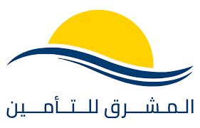 مطور برمجيات